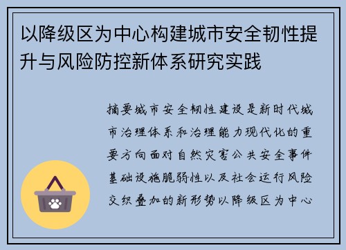 以降级区为中心构建城市安全韧性提升与风险防控新体系研究实践